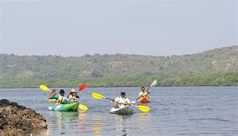 four people in kayaks paddling on the water