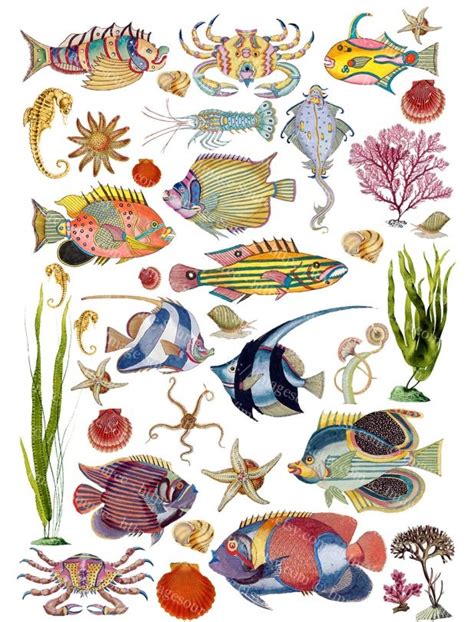 Tropical Fish Printable Digital Collage Sheet Fishes Clip Art Etsy