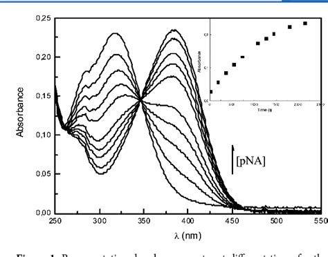 Figure From Enzymatic Hydrolysis Of N Benzoyl L Tyrosine P