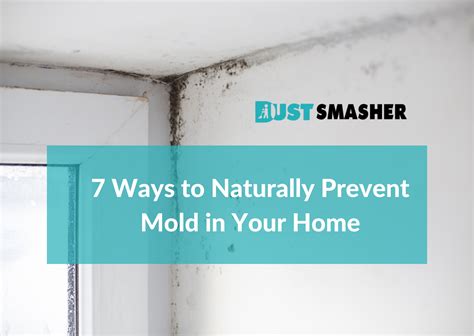 7 Ways To Naturally Prevent Mold In Your Home Dust Smasher