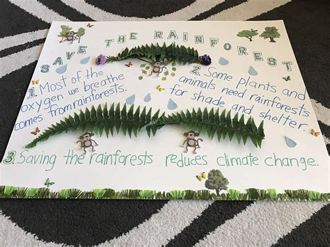 Rainforest Ecosystem Poster