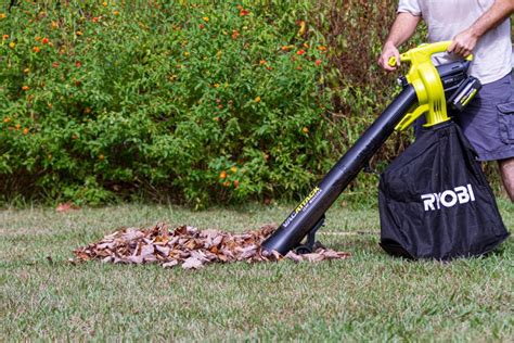 Understanding The Types Of Leaf Vacuums With Helpful Tips Garden