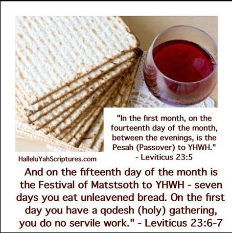 Unleaven Bread Feast Of Unleavened Bread Passover Feast Feasts Of The Lord