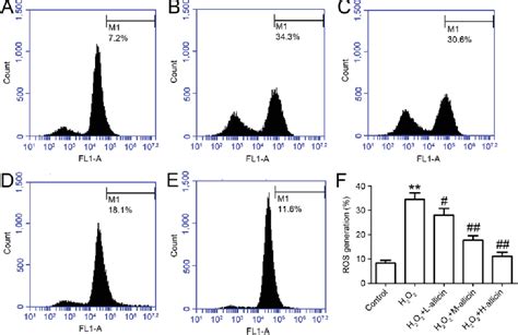 Figure 2 From Allicin Protects Against H2o2 Induced Apoptosis Of Pc12