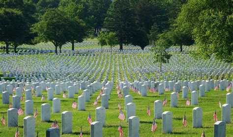 Photos For Memorial Day Morning Light At Arlington National Cemetery