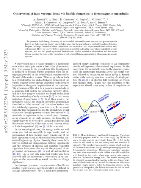 Observation of false vacuum decay via bubble formation in ferromagnetic ...