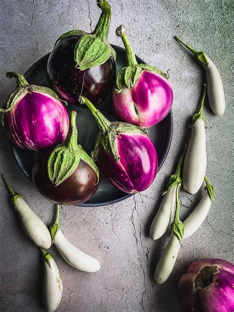brinjal types  pictures