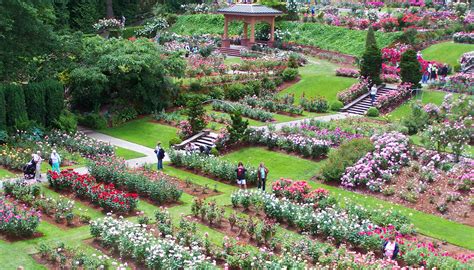 Rose Garden Amphitheater Portland Events | Fasci Garden