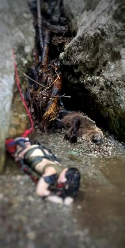 Imagini Dramatice Cu Turista Ucis De Urs Puterea Ro