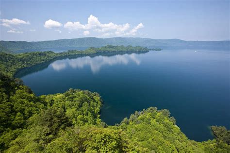 无人公园横图俯视航拍室外白天旅游度假湖湖泊美景树林水植物秋田县日本亚洲湖面景观水流水面云云朵