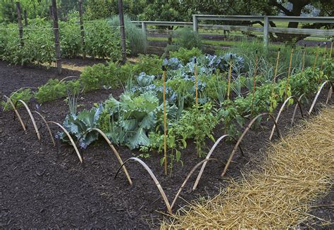 Veggie Garden Design Ideas: Make Your Vegetable Garden Beautiful - Fine Gardening