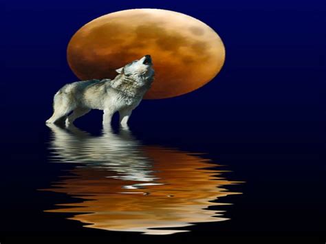 Wolf Moon Wallpaper - WallpaperSafari