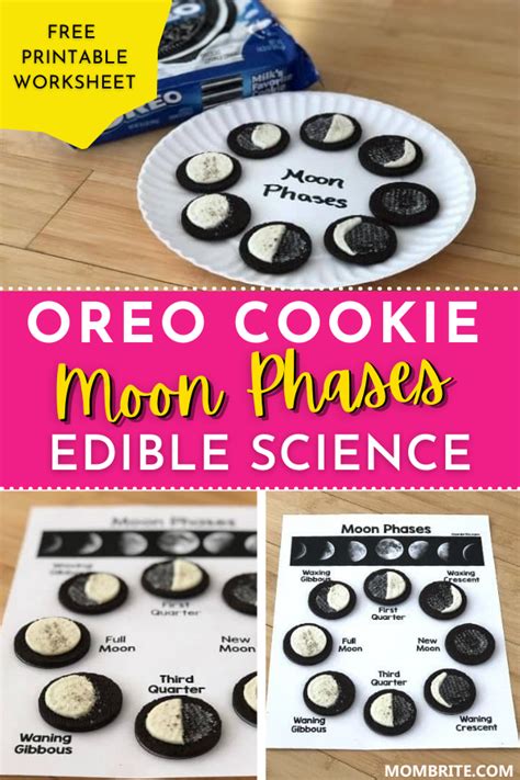 Oreo moon phases activity – Artofit