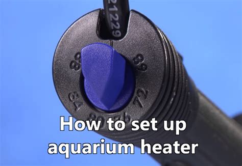 How To Set Up A Submersible Aquarium Heater? – Love Fish Tank