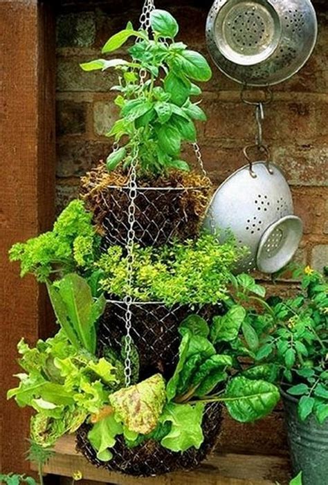 Indoor Garden Ideas For Small Spaces HomeDecorish