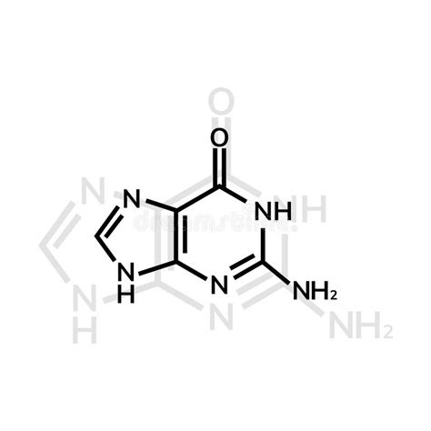 Guanine Molecular Structure Isolated On White Stock Illustration ...