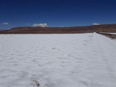 Ganfeng Lithium Se Qued Con El Proyecto De Litio De Pluspetrol