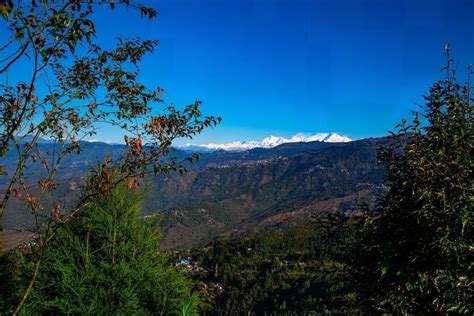 Kurseong: A Quick Mountain Getaway| Expert Travel Guides