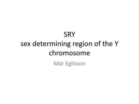 Ppt Sry Sex Determining Region Of The Y Chromosome Powerpoint