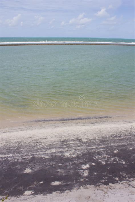 Porto De Galinhas Beach Stock Image Image Of Destination 43392705