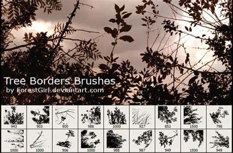 Free Tree Brushes For Photoshop Homepagekol