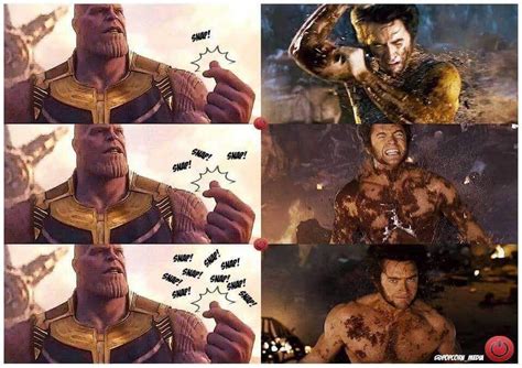 Wolverine Picture Meme