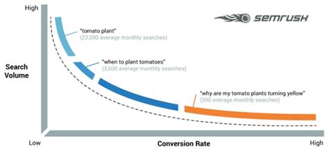 Top 11 Tools For Finding Long Tail Keywords In 2021