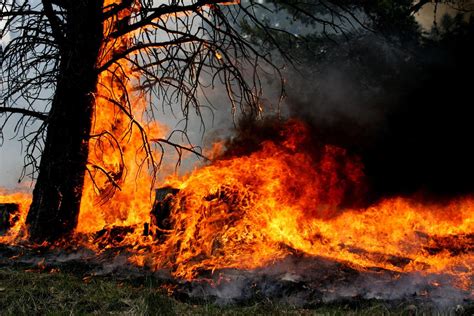 Lightning Starts Two Fires On The Bitterroot Forest