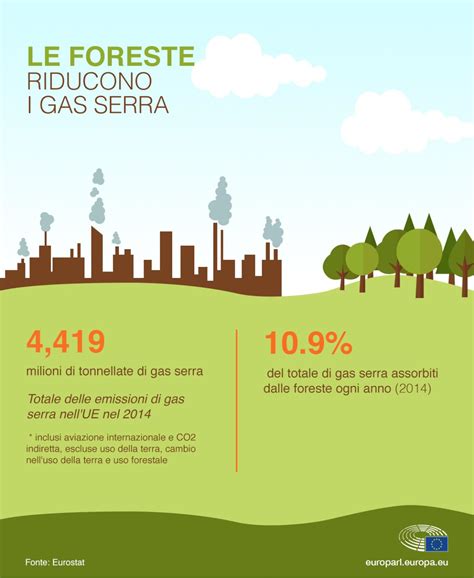 Foreste E Cambiamento Climatico Compensare Le Emissioni Infografica