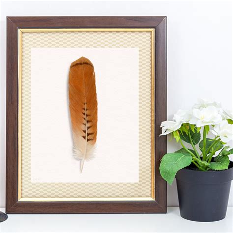 Red Tailed Hawk Art Feather Decor Print, Hawk Feather Natural Boho Wall Art - Etsy