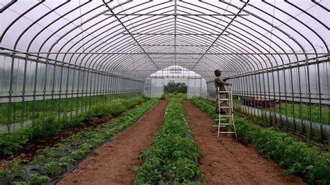 Polyester Modular Agricultural Greenhouse Polyhouse At Rs Square