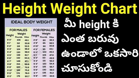 Body Weight Chart