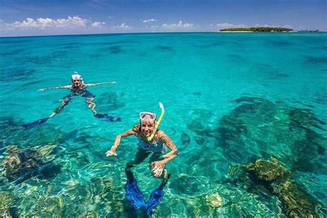 Tour Days Zanzibar Dolphins Snorkeling Spice Farm Stone Town