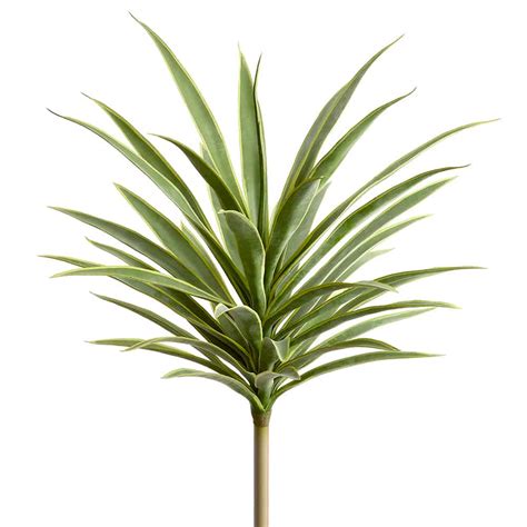 27" Yucca Plant Variegated | Artificial | 2 pieces | Silk Flower Depot