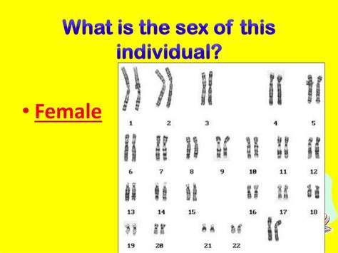 Ppt Patterns Of Heredity Review Powerpoint Presentation Free Download Id1985601