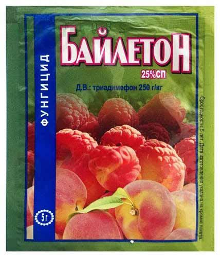 30 мер борьбы с мучнистой росой на огурцах, фото и лечение