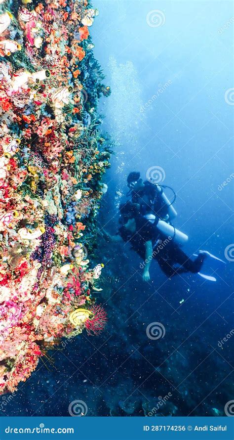 Scuba diving in raja ampat editorial photo. Image of environment ...