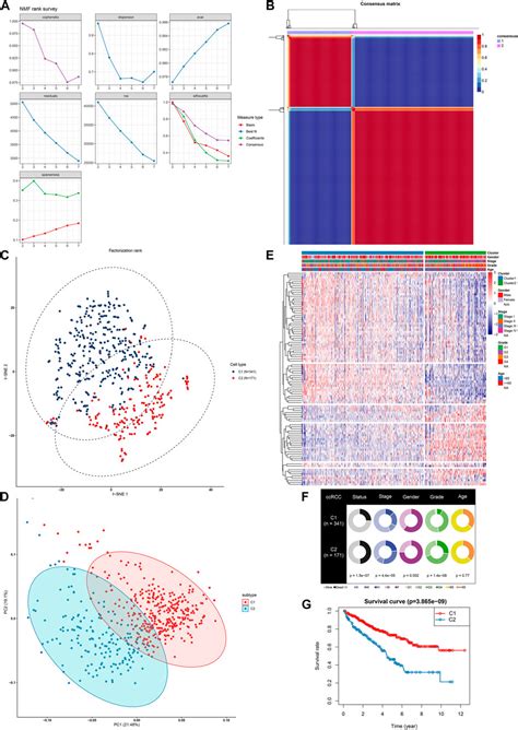 Frontiers Characterization Of Hypoxia Related Molecular Subtypes In