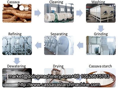 Cassava Starch Manufacturing Process Doing Company