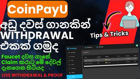 HOW EARN MORE SATOSHI ON COINPAYU LIVE WITHDRAWAL TIPS TRICKS