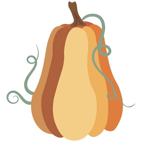 Premium Vector Autumn Pumpkin Isolated Vector Illustration On White Background