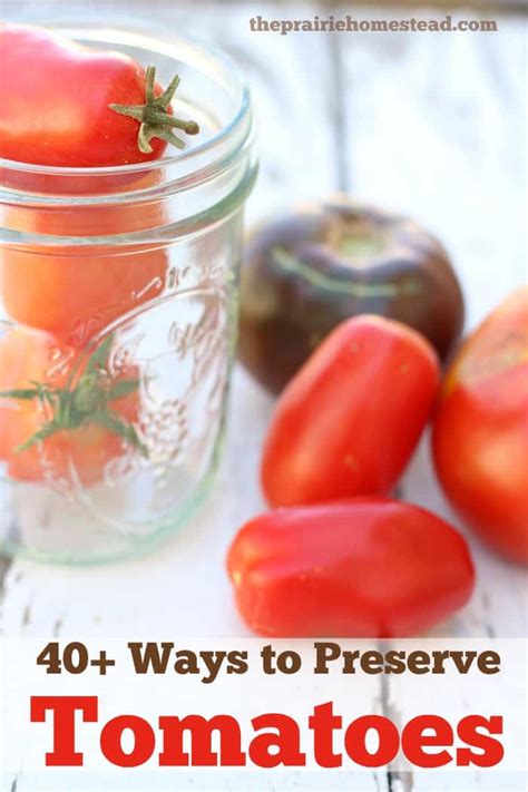 40 Ways To Preserve Tomatoes • The Prairie Homestead