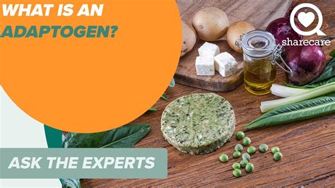 What Is An Adaptogen Ask The Experts Sharecare Youtube