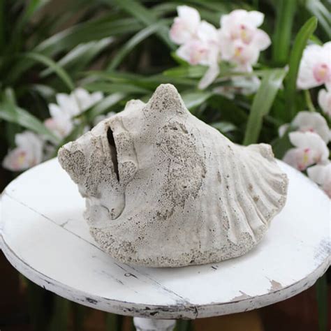 Old Atlantic Conch Shell Nora Murphy Country House