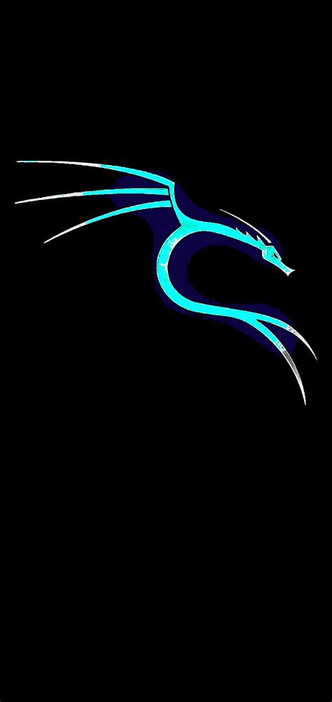 Glow Kali Hacking Hacker Linux Dragon Hd Phone Wallpaper Pxfuel