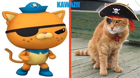 The Octonauts Real Life All Characters Youtube