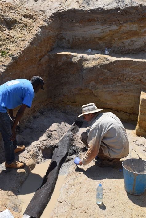 Archaeologists Discover Worlds Oldest Wooden Structure News