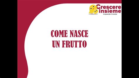 Come Nasce Un Frutto Il Tutorial Di Crescere Insieme YouTube