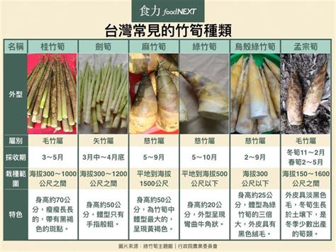 「筍友」到底怎麼分？一秒懂台灣常見6大竹筍 Ettoday健康雲 Ettoday新聞雲