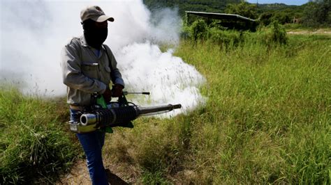 Aumento De Casos De Dengue En Veracruz Por Temporada De Lluvias NV